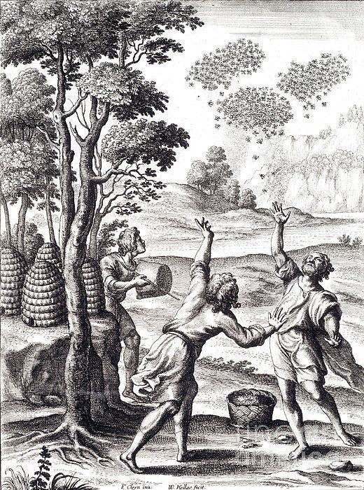 A Short History of Beekeeping