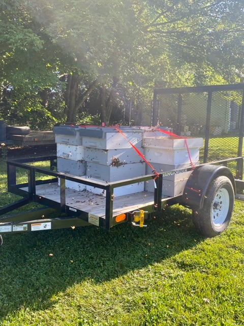 Bee Great Honey Harvest 2021