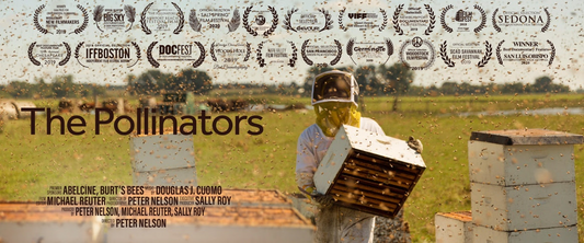 The Pollinators