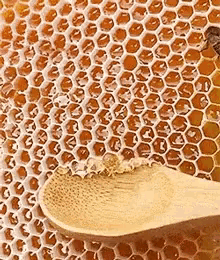 Benefits of Raw Honey