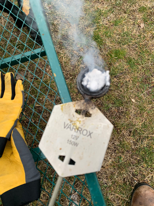 Winter Mite Treatment