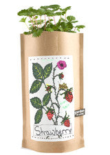 Kids Garden In-A-Bag