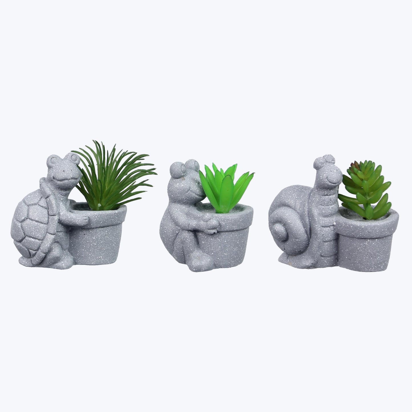 Cement Pot With Succulent