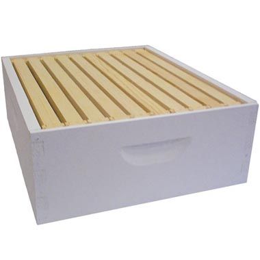 medium honey super: 6 5/8 inch 10 frame
