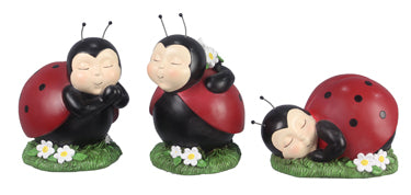 Garden Ladybug