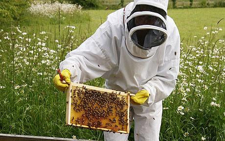 Planning for Spring! – Bee Great