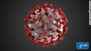 Coronavirus: Does Local Honey Boost the Immune System