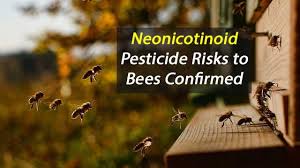 Pesticides Damage Baby Bee Brains