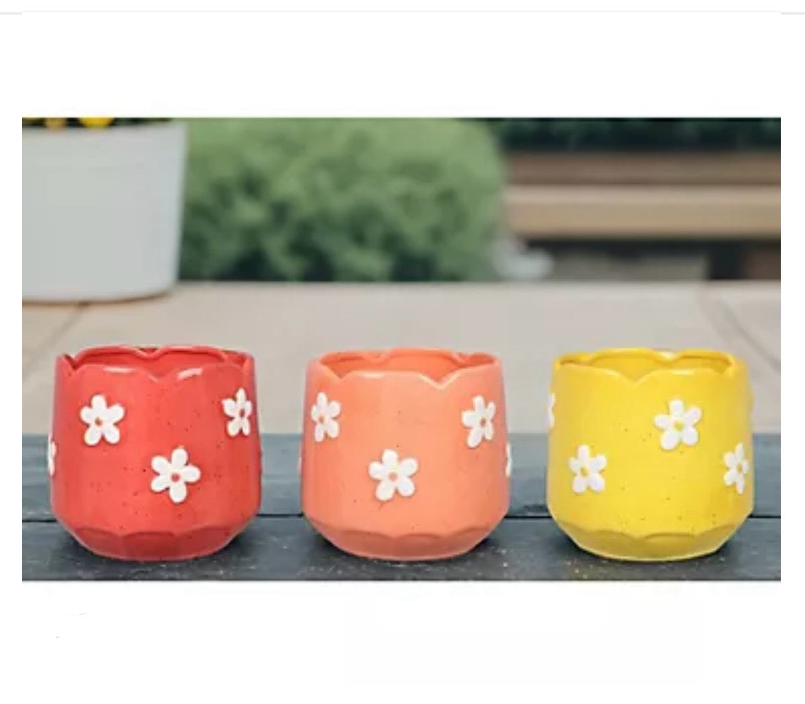 Ceramic Floral Pots