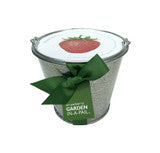Garden-In-A-Pail