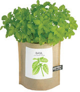 Garden-In-A-Bag