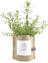 Garden-In-A-Bag