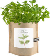 Garden-In-A-Bag
