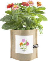 Garden-In-A-Bag