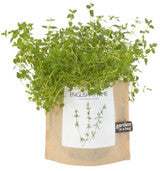 Garden-In-A-Bag