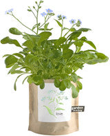 Garden-In-A-Bag