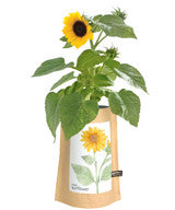 Garden-In-A-Bag