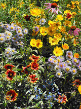 Garden Sprinkles - Seed Tin