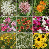Kids Scatter Garden Kits