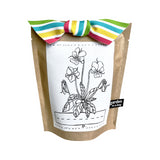Kids Garden In-A-Bag