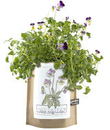 Kids Garden In-A-Bag