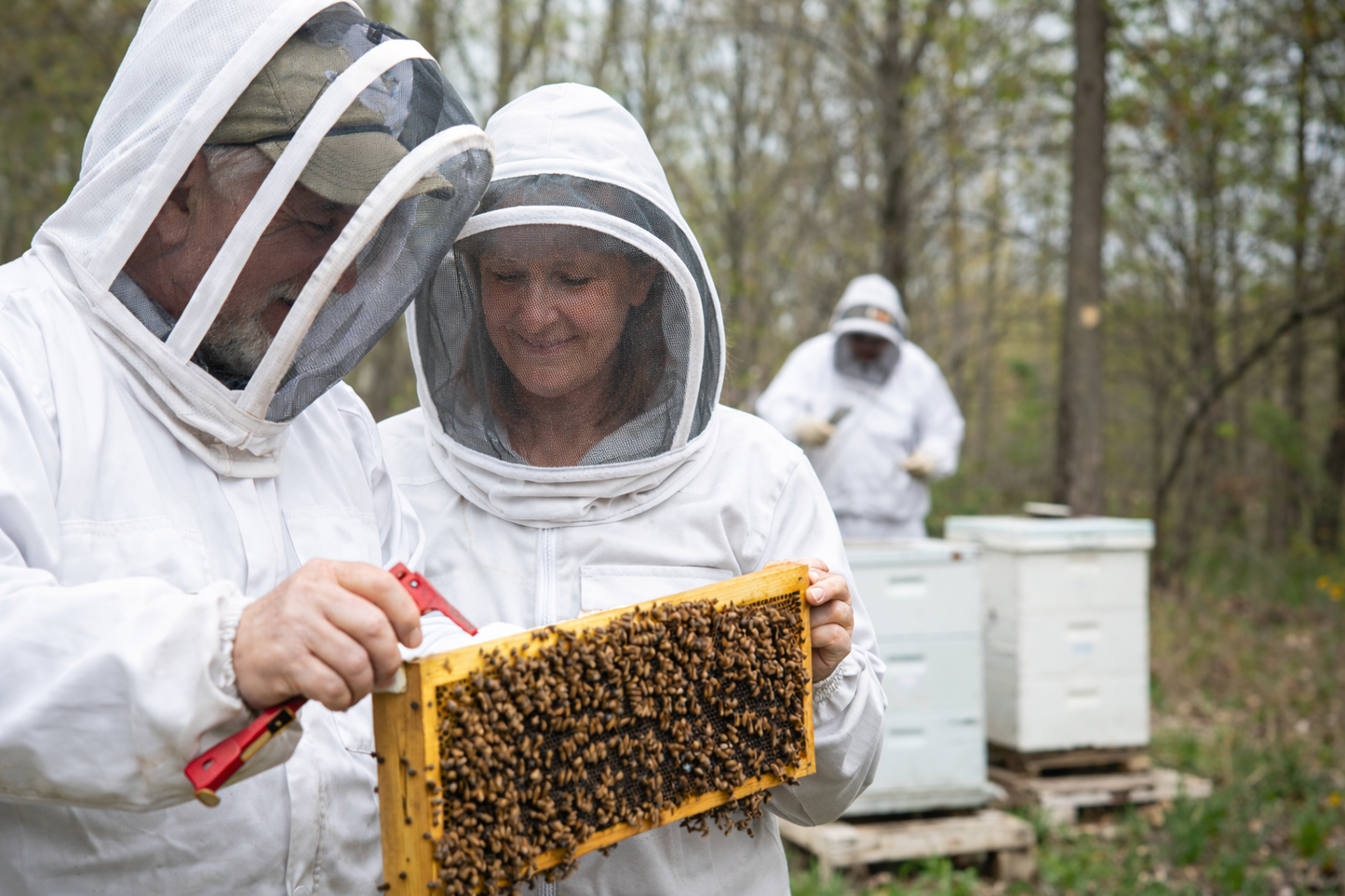 Intermediate Beekeeping Class