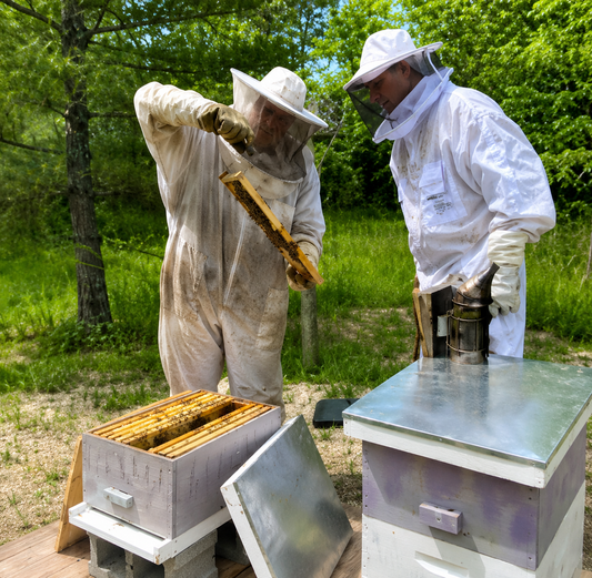 Beekeeping Site Visit & Hive Assessment