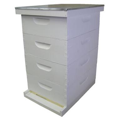 beekeeping kits