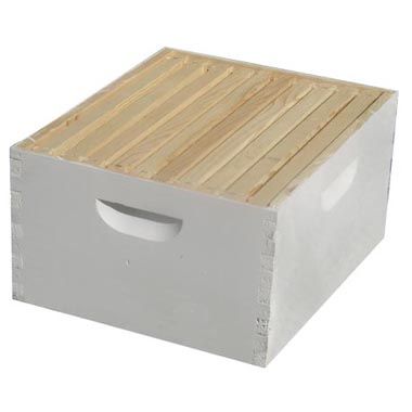 deep brood box - 10 frame