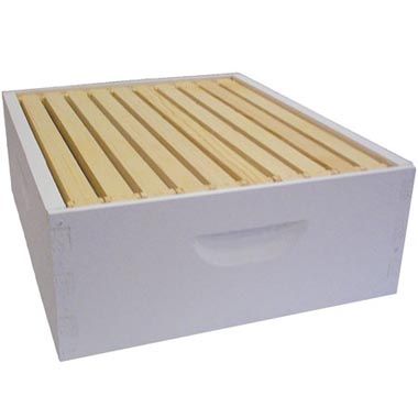 medium honey super: 6 5/8 inch 10 frame